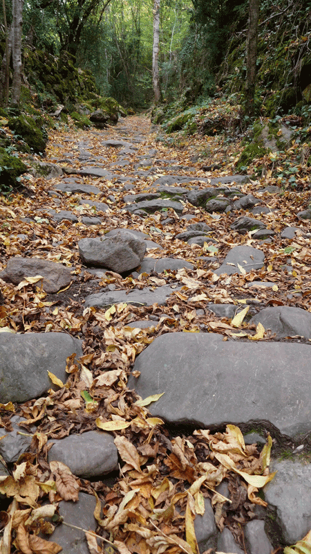 Por muchas piedras en el camino se allana en el esfuerzo